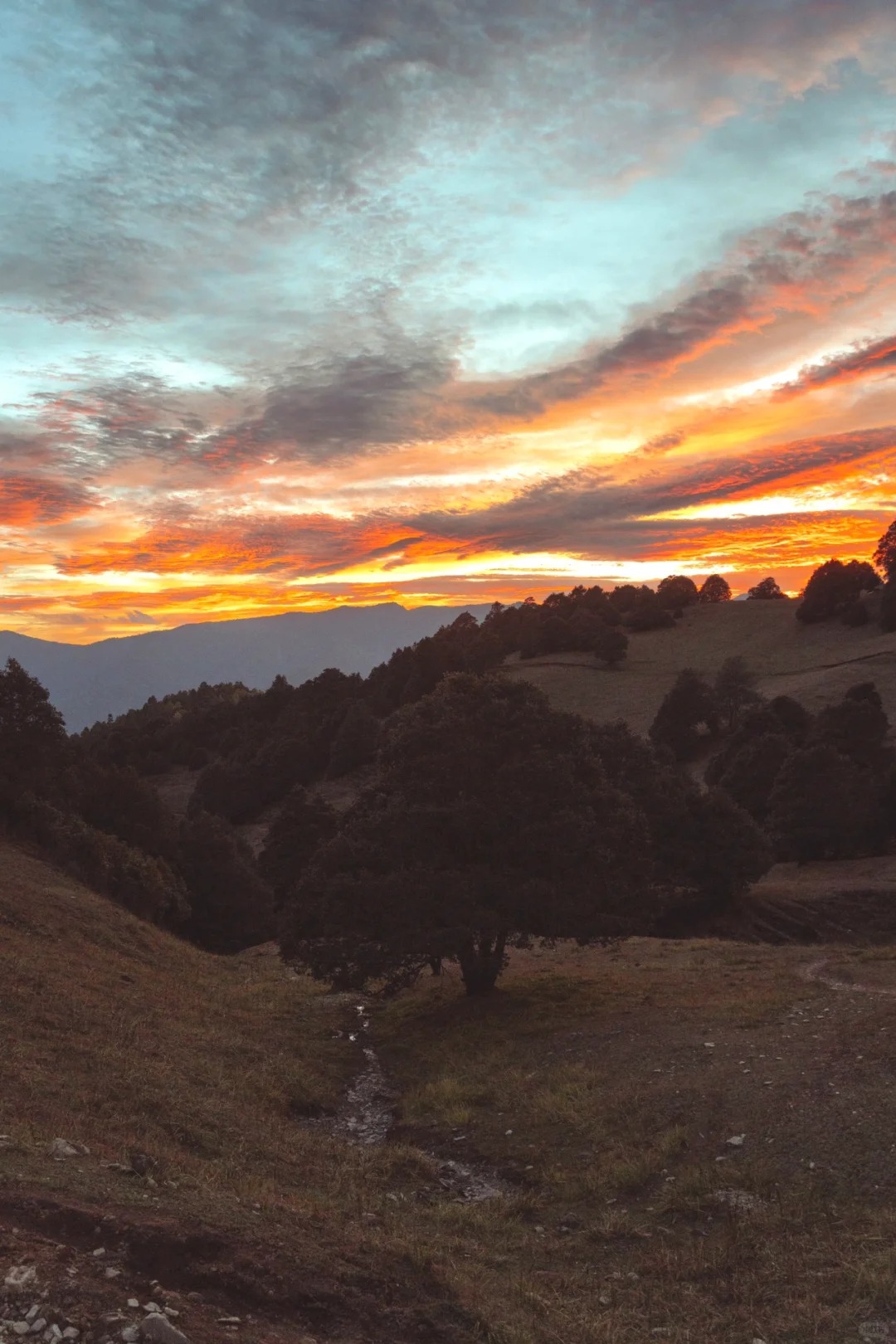 不用去意大利，云南有自己的多洛米蒂！_2_utter_云南-来自52tours 我爱旅游网